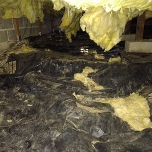 Meet your Posher, Bert